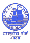 SpicesBoardLogo
